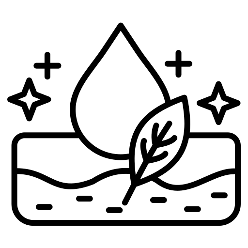 Nutrition de la peau