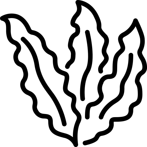 Tonus et vitalité